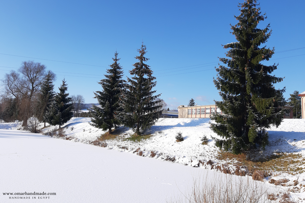 Photos from Slovakia: Winter 2021